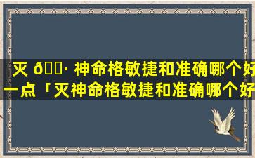 灭 🕷 神命格敏捷和准确哪个好一点「灭神命格敏捷和准确哪个好用」